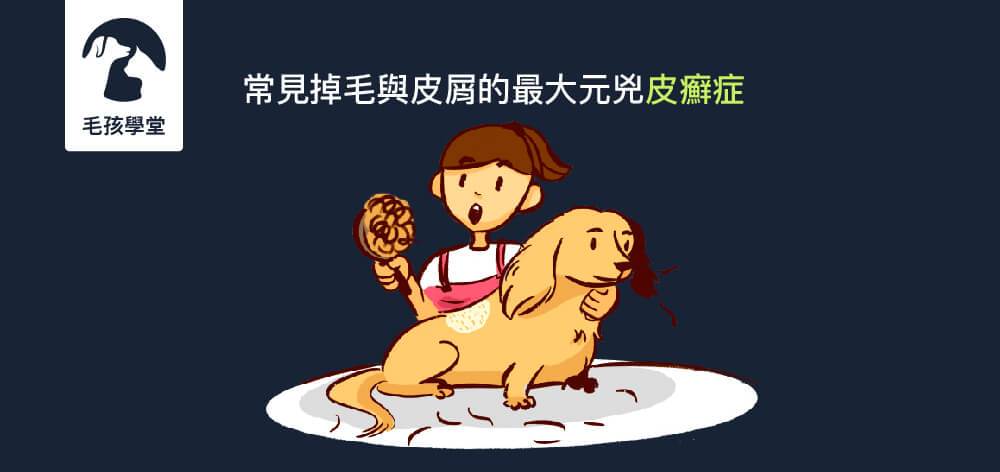 常見掉毛與皮屑的最大元兇皮癬症